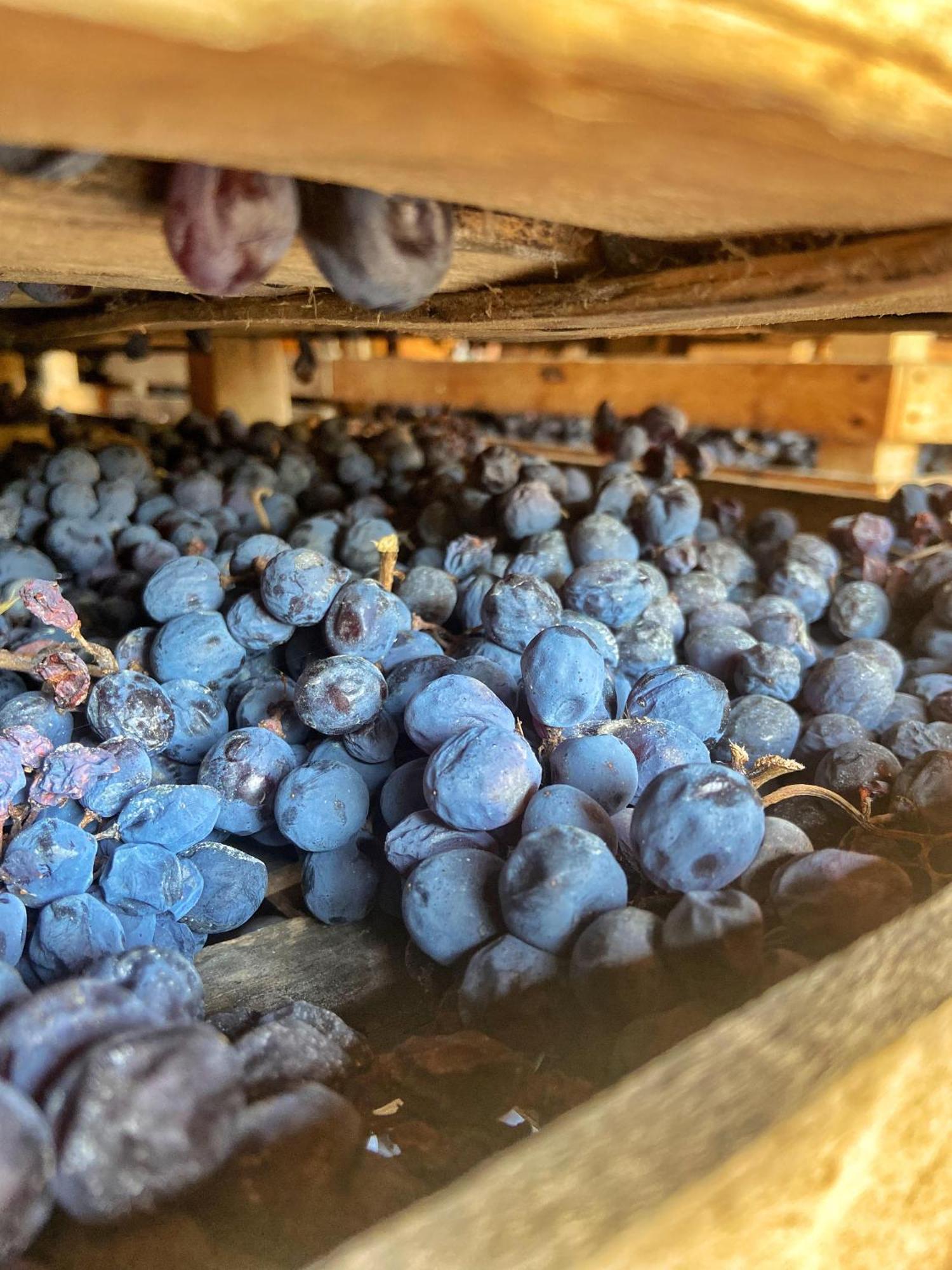 Вілла La Vineria Di San Mattia Верона Екстер'єр фото